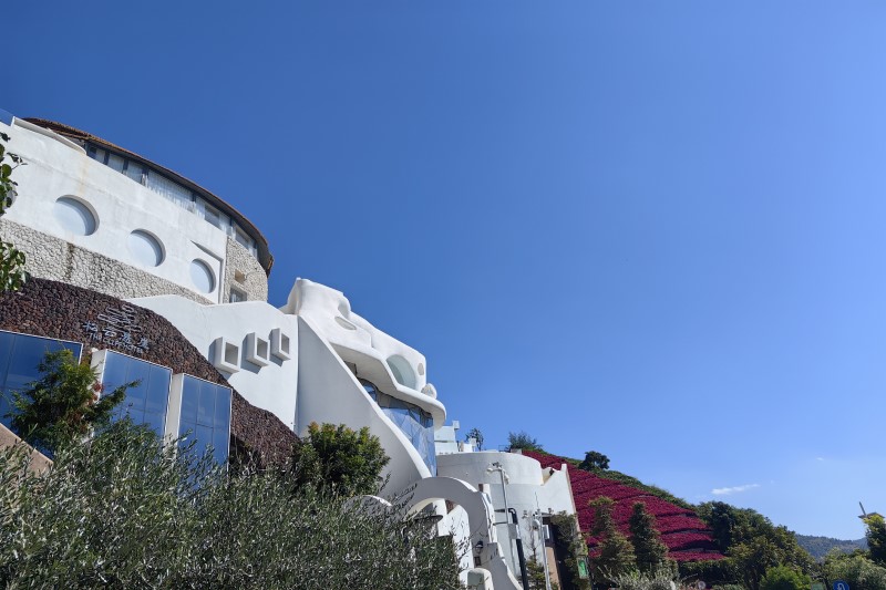 第20周山东省畜产品市场行情分析