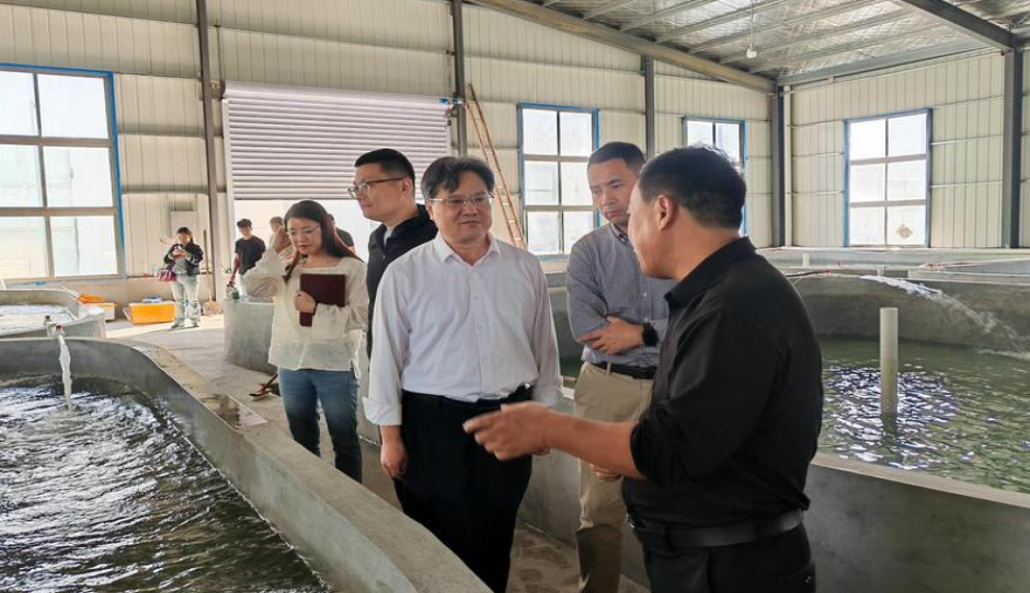 江苏省农科院连云港所所长姚建中一行调研赣榆区三文鱼食品加工企业